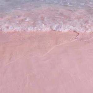 羞羞网站在线观看视频
